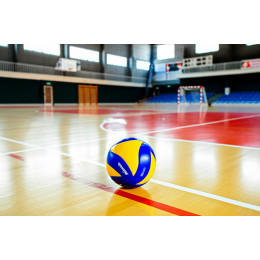 Мячи волейбольные Mikasa