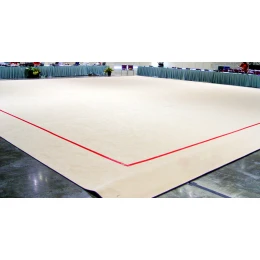 Гимнастический ковер 10х10м