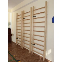 Стенка 2х0,9м (гимнастическая, шведская)