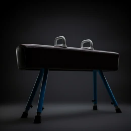 Конь гимнастический маховый