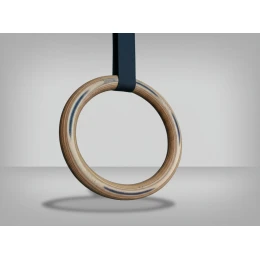 Кольца гимнастические с тросом 2 метра